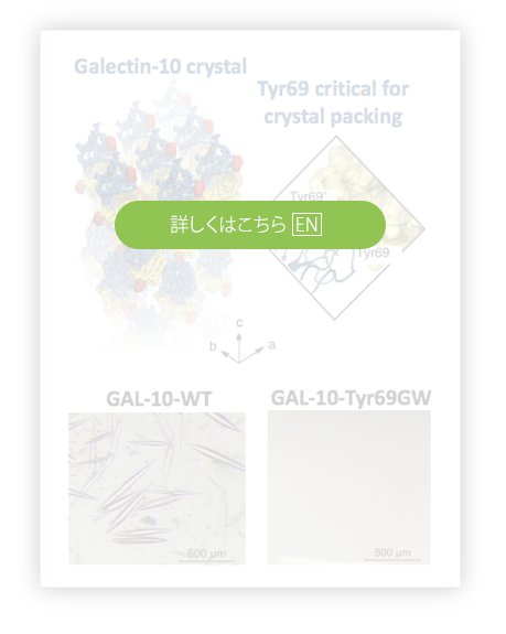 Link-image