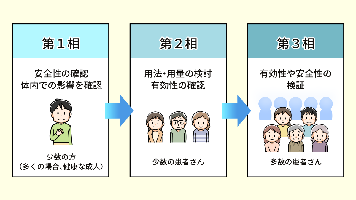 治験の流れ